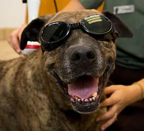 lasertherapy