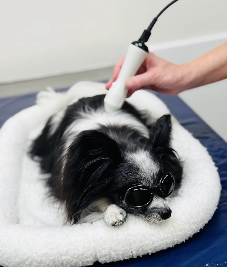 Jonesville_Laser_Treatment_1
