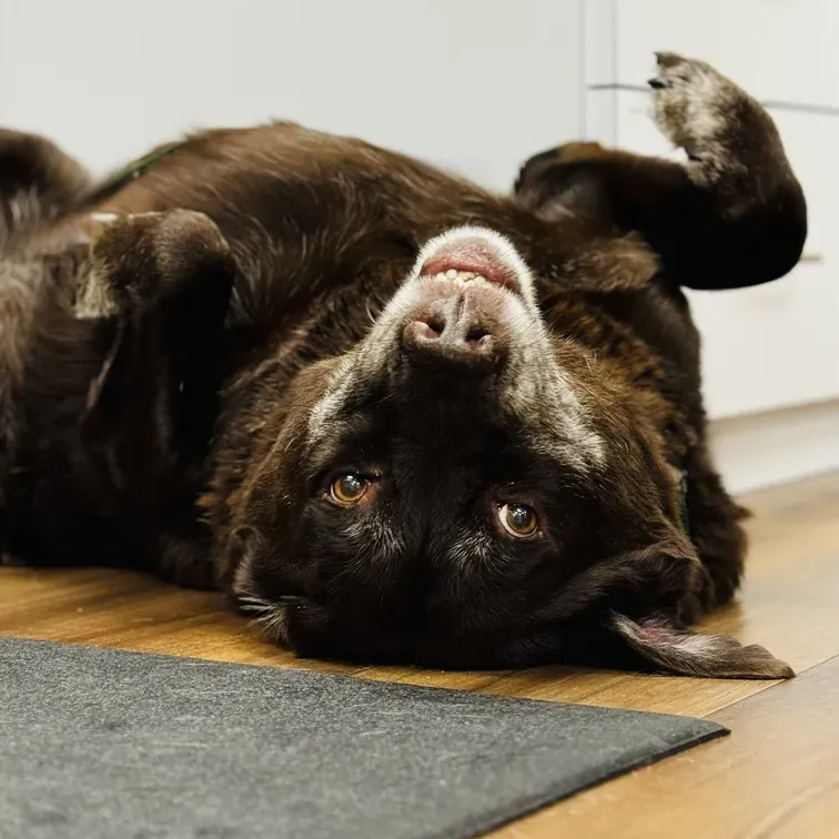 Jonesville_End_of_Life_Care